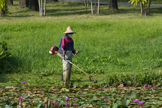 除草工