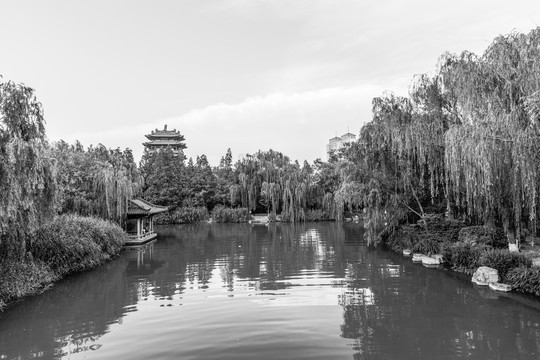 济南大明湖老照片