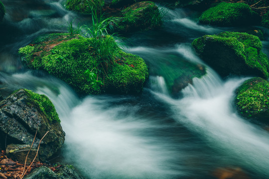 绿石谷青苔苔藓原生态水源地