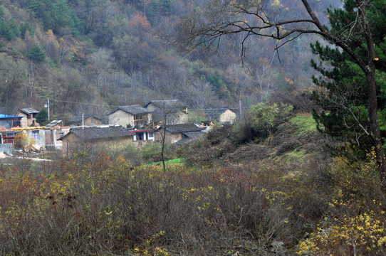 山村风光