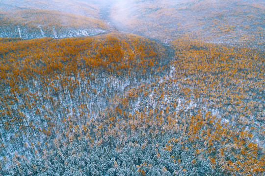 航拍金秋山林雪景