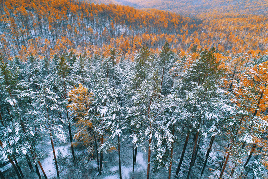 金秋林海雪景