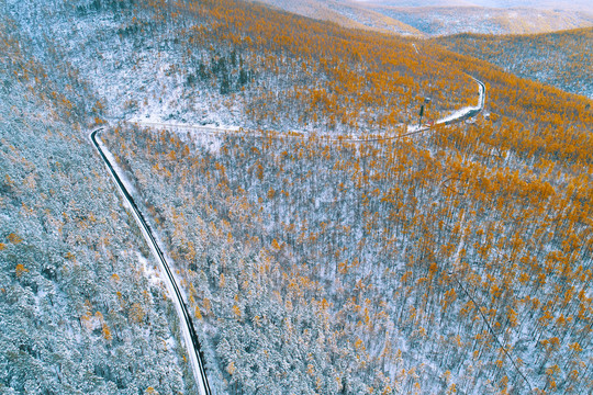 金秋林海山路秋雪