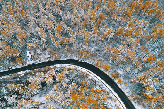 金秋林海山路秋雪