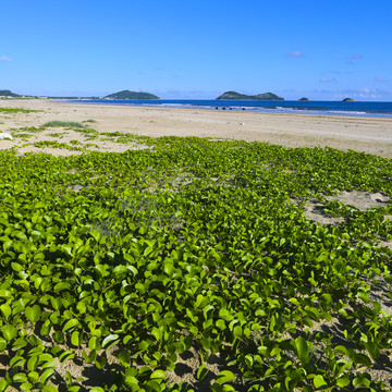 海边风景