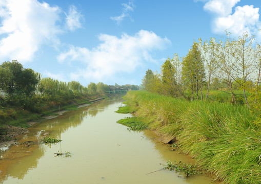 水域