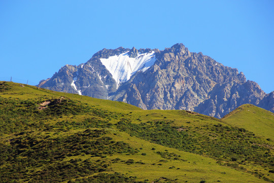 青海海北祁连山雪山草原