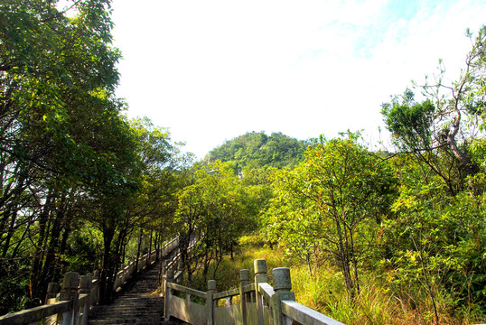 登山阶梯