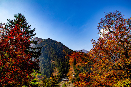 兴隆山秋色