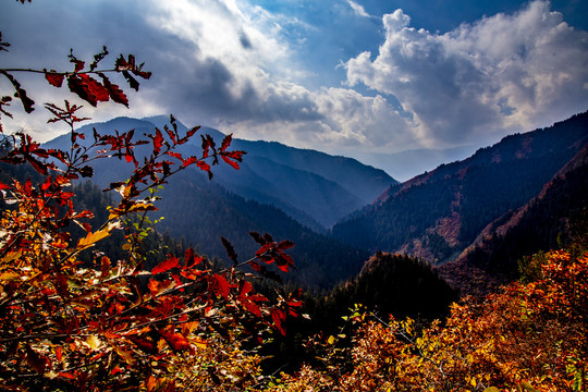 兴隆山秋色