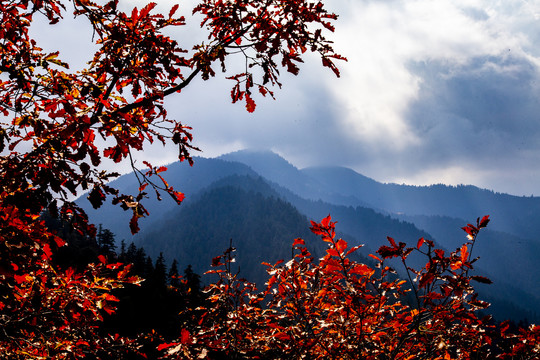 兴隆山秋色