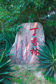 中国人民大学校园