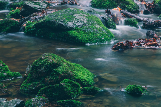 绿石谷青苔苔藓原生态水源地