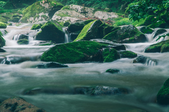 绿石谷青苔苔藓原生态水源地