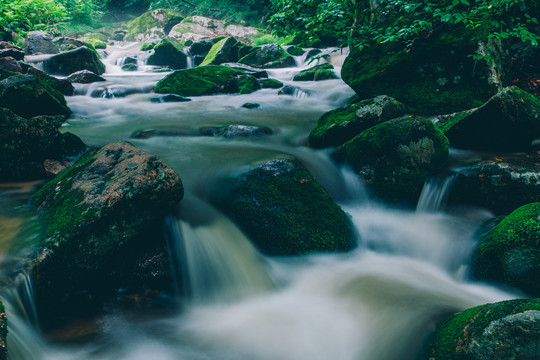 绿石谷青苔苔藓原生态水源地