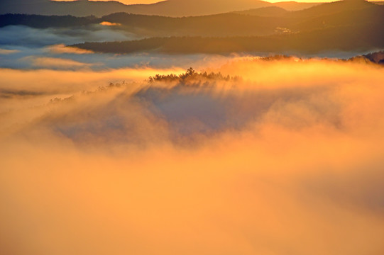 晨雾高山