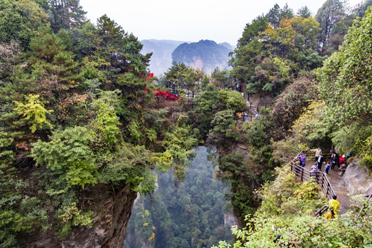 张家界森林公园