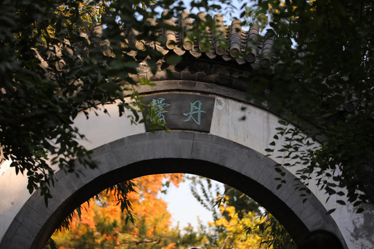 中式拱门银杏叶黄叶