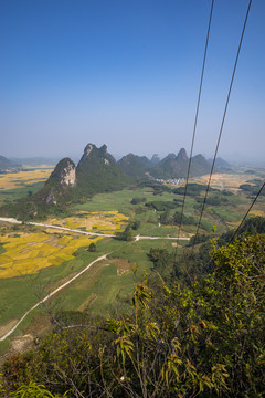 金秋风景