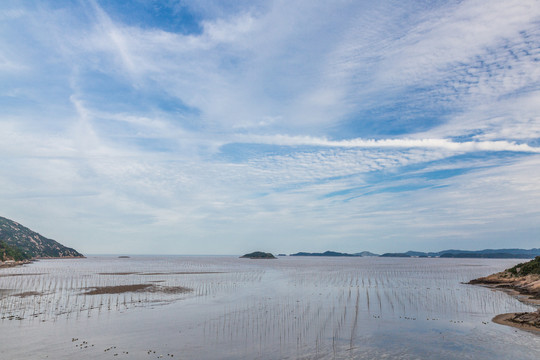 霞浦围江海带养殖基地