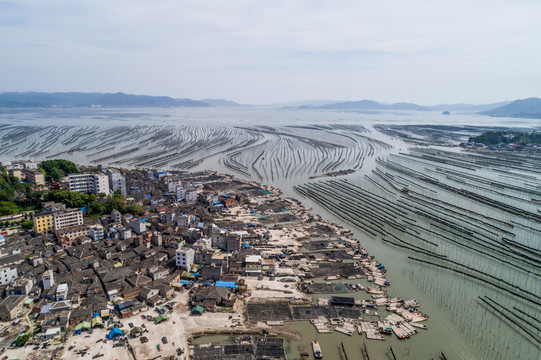 霞浦围江海带养殖基地