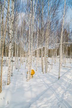 林海雪原