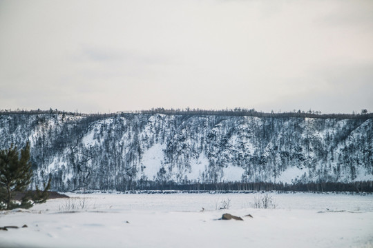 林海雪原