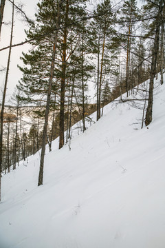 林海雪原