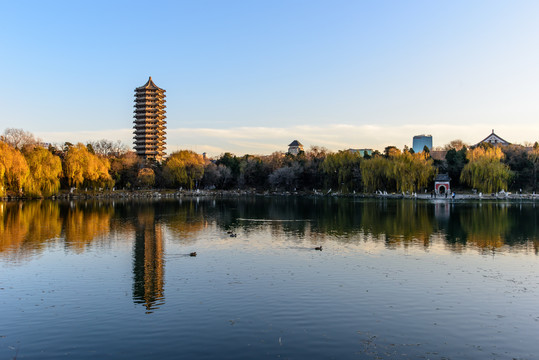 北大未名湖博雅塔慈济寺山门柳树