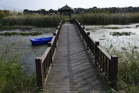 青西郊野公园景观