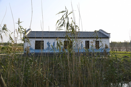 青西郊野公园景观