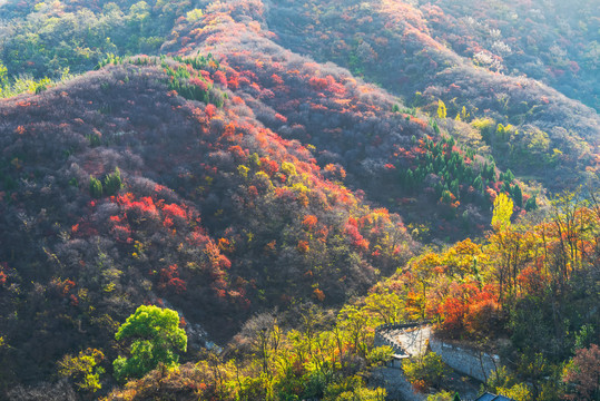 博山姚家峪秋景