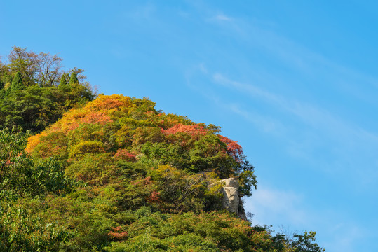 博山和尚房大山秋色