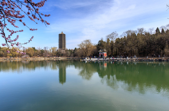 北大校园春色未名湖博雅塔桃花