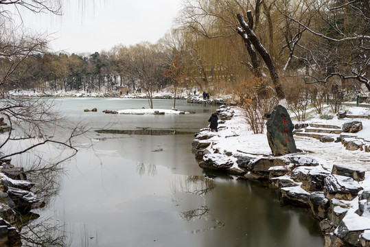 北大校园冬景未名湖冰面柳树积雪