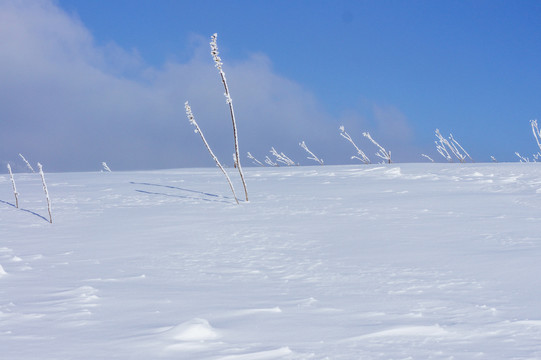 东北雪景