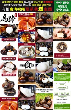 馬蹄詳情
