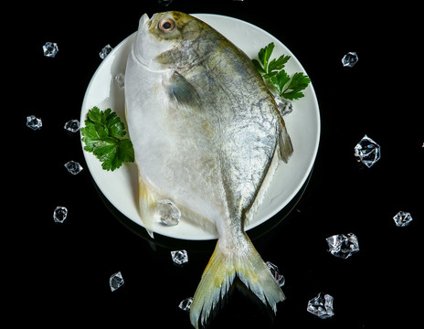 金昌魚