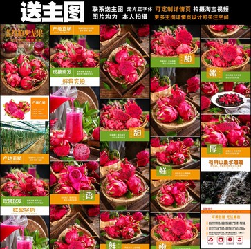 紅心火龍果詳情