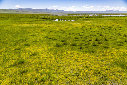 阿坝若尔盖花湖风景区