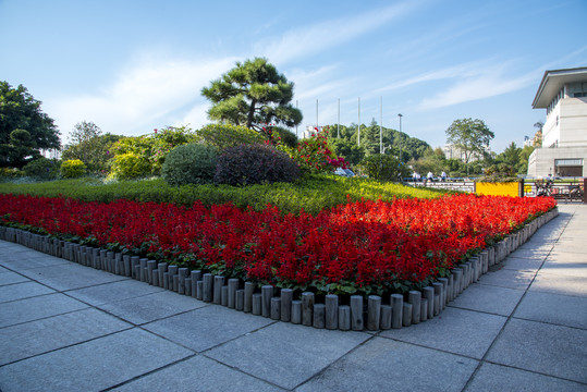 花坛盆景