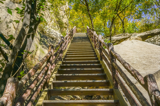 登山步道高清大图