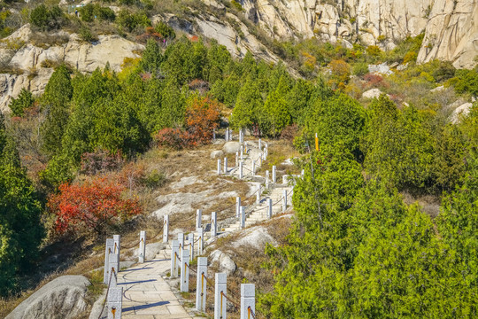 登山步道高清大图