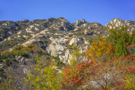 秋天山林景观