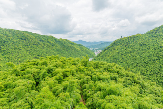 竹山