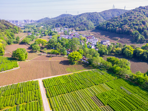 梅家塢