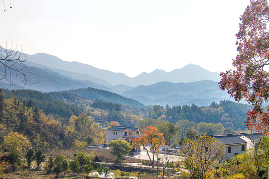 山里人家