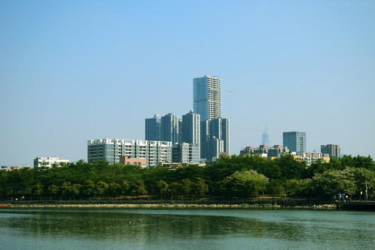 江湾风景