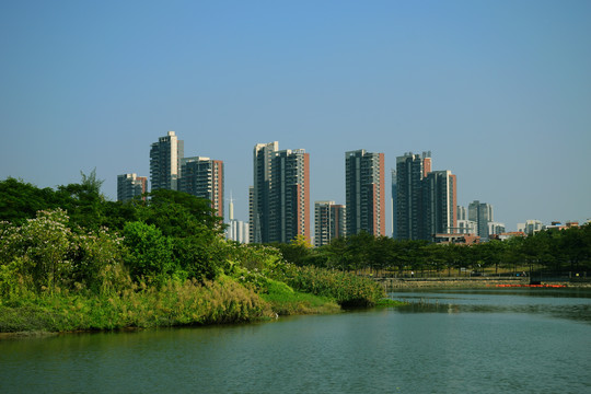 江湾风景