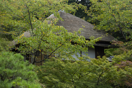 深山隐居